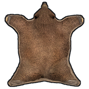 Bear Skin Rug
